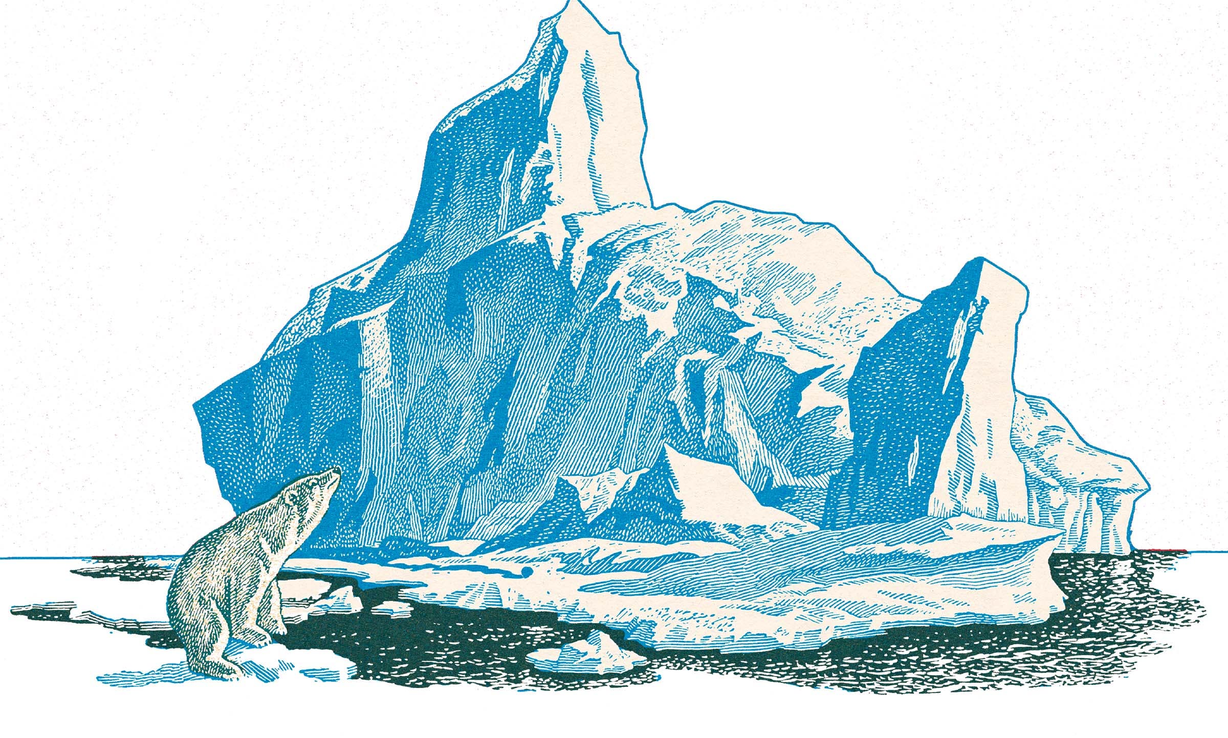 polar bear on iceberg