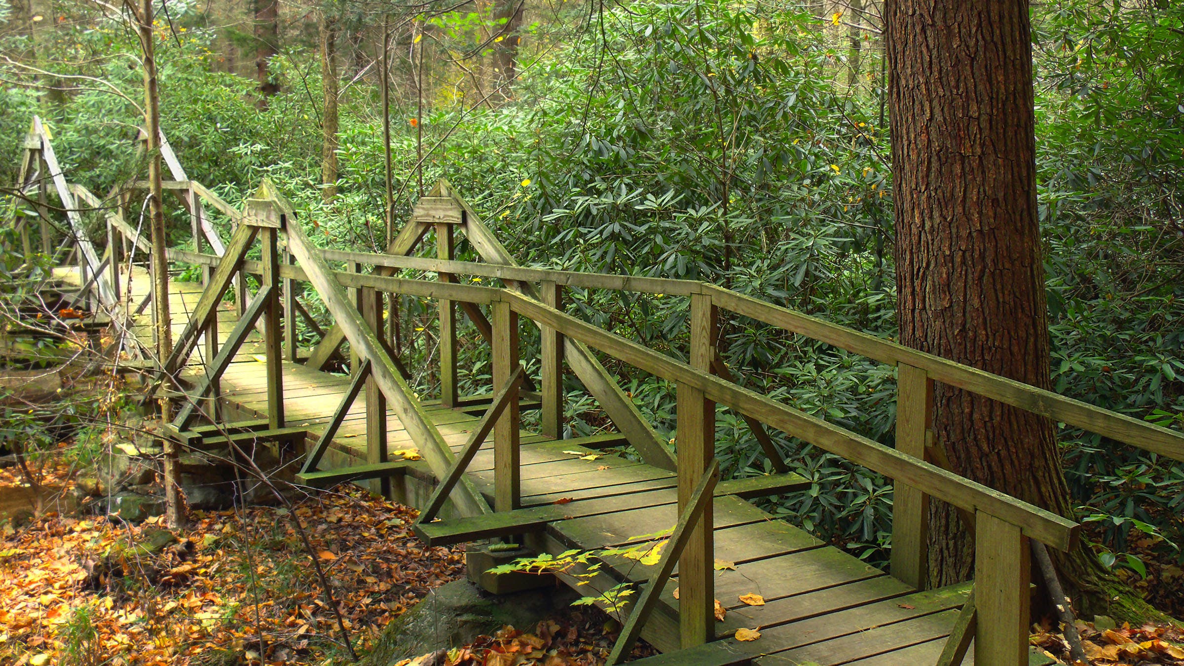 bridge on great eastern trail