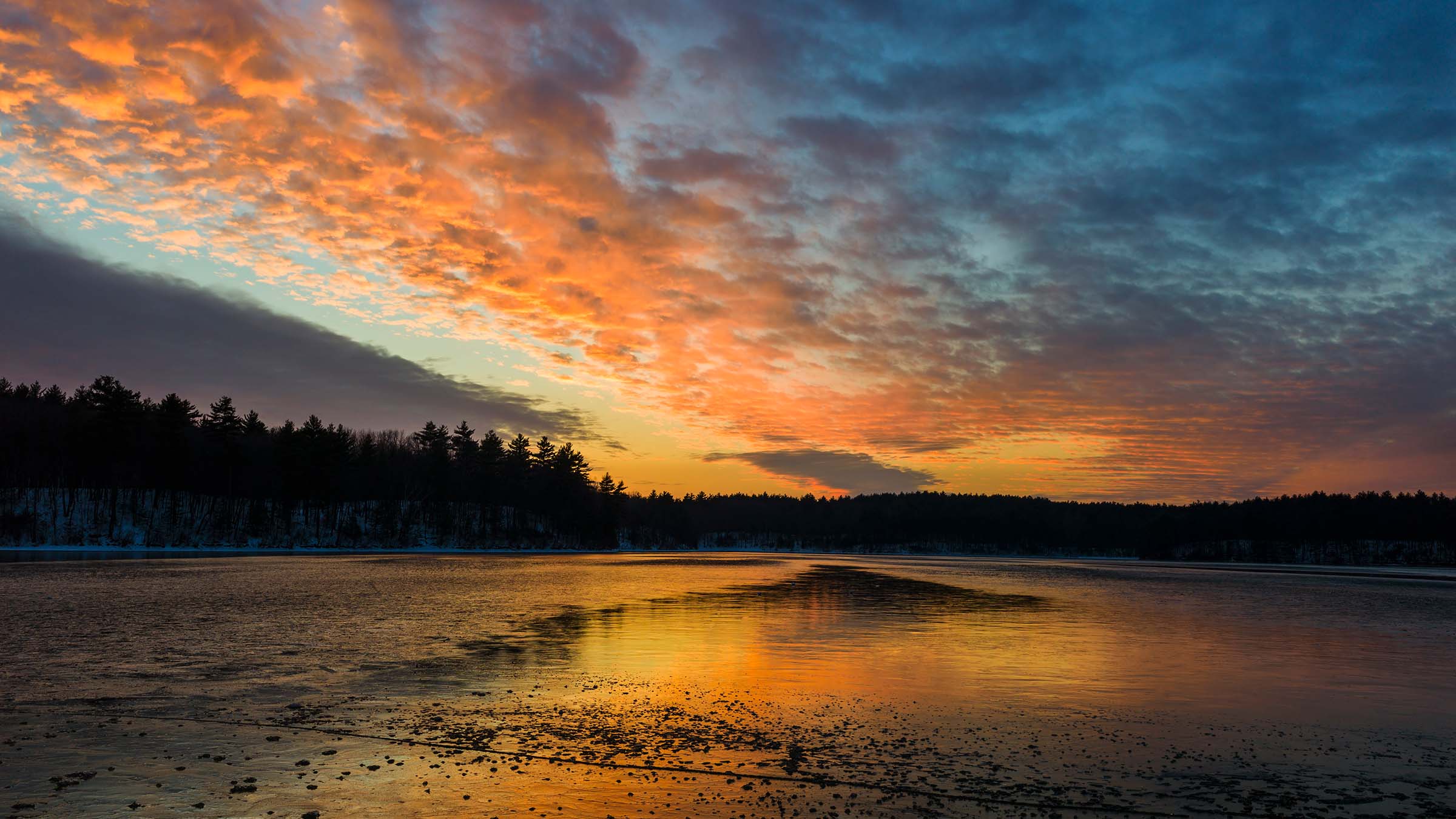 Walden Pond, Circuit Bay Trail
