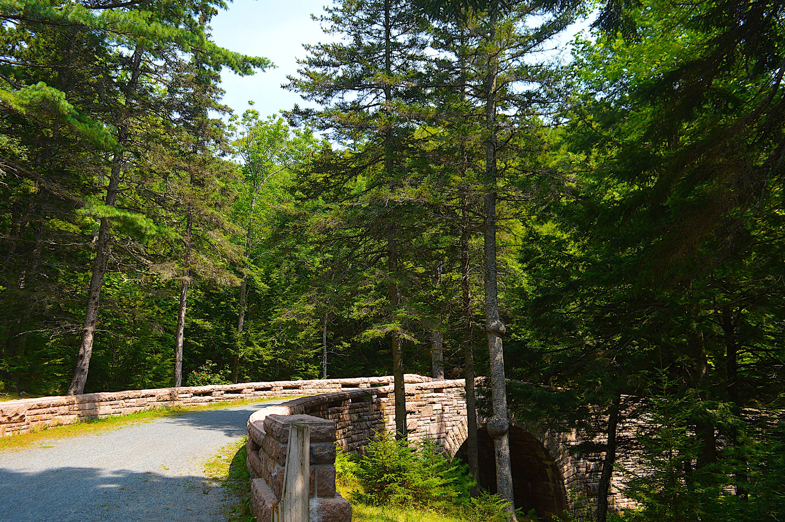 Carriage Road, Acadia National Park, Maine
