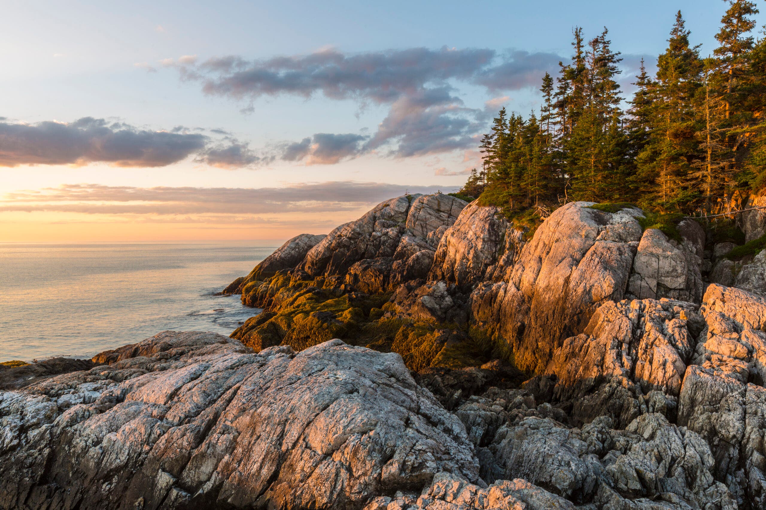 coastline of Isle au Haut, Acadia National Park