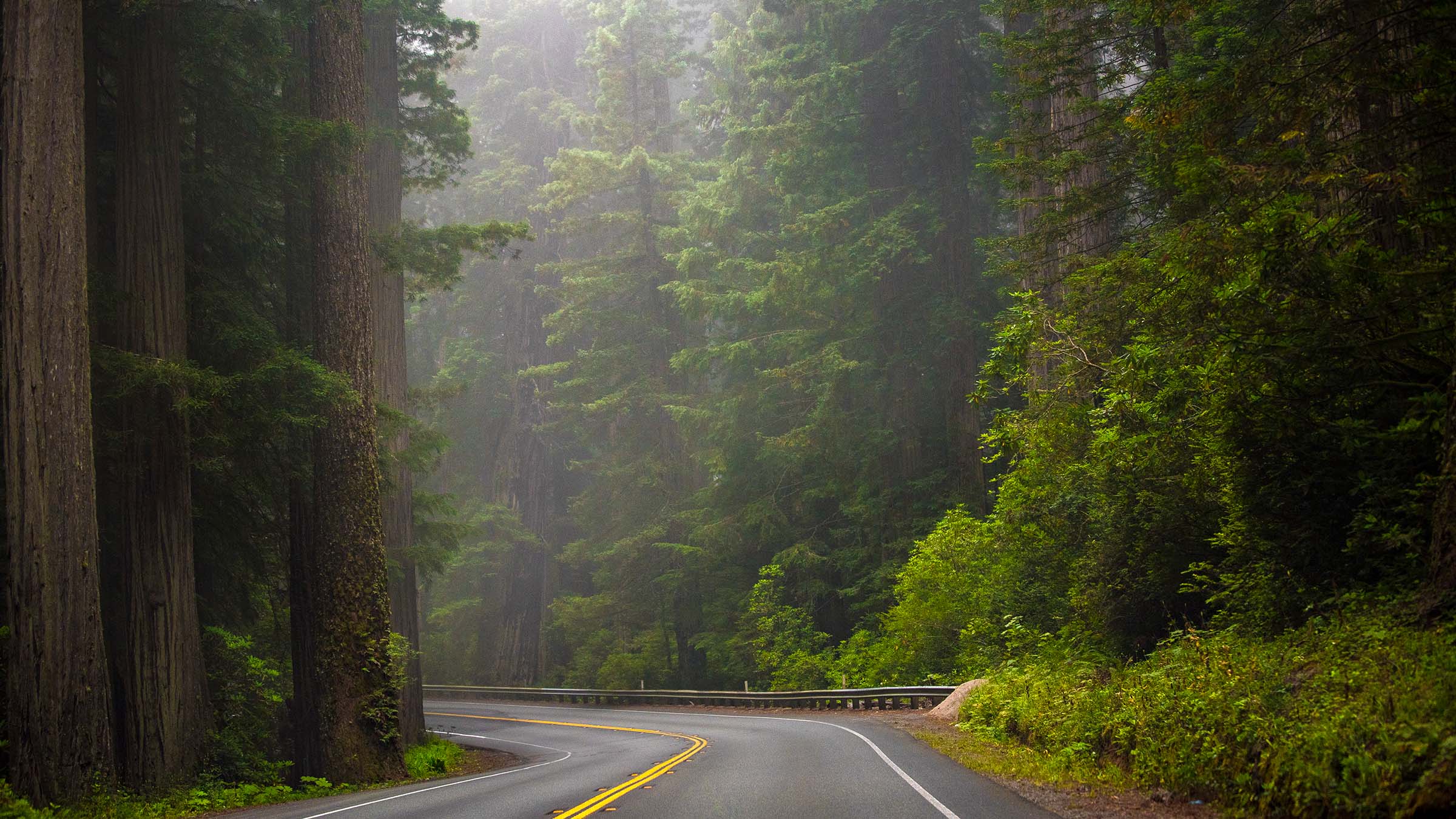 Redwood National Park