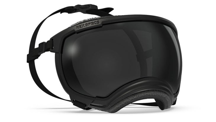 Rex Spec's V2 Goggle