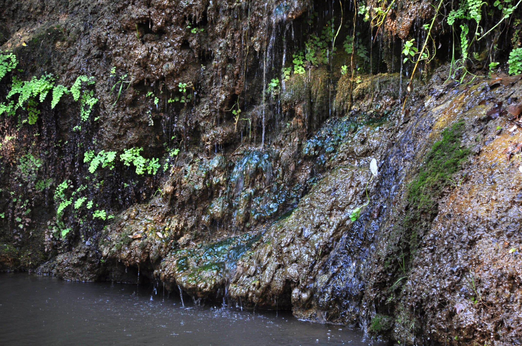 Escondido Canyon Hike