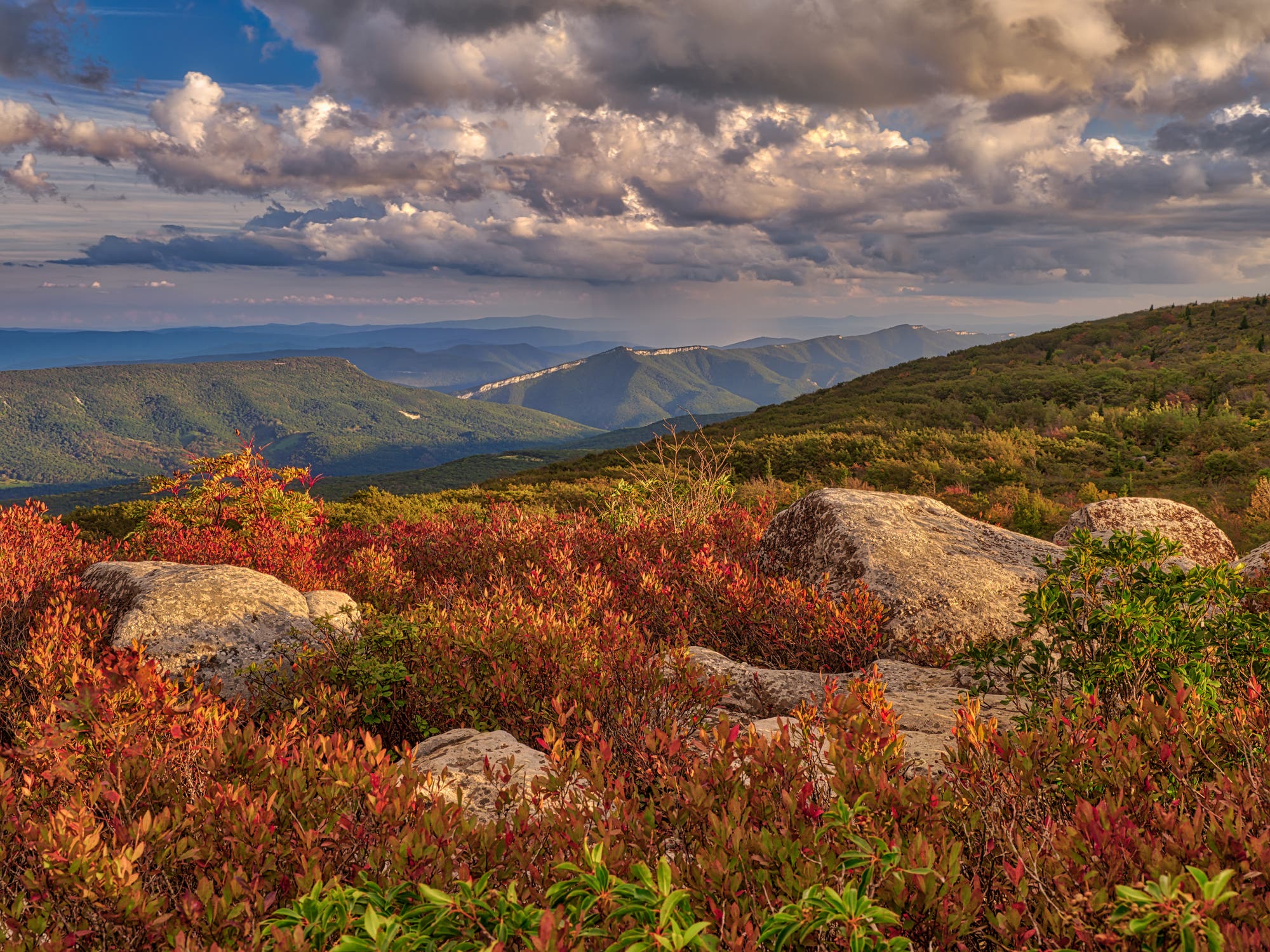 Looking out from the Dolly Sods at the Allegheny