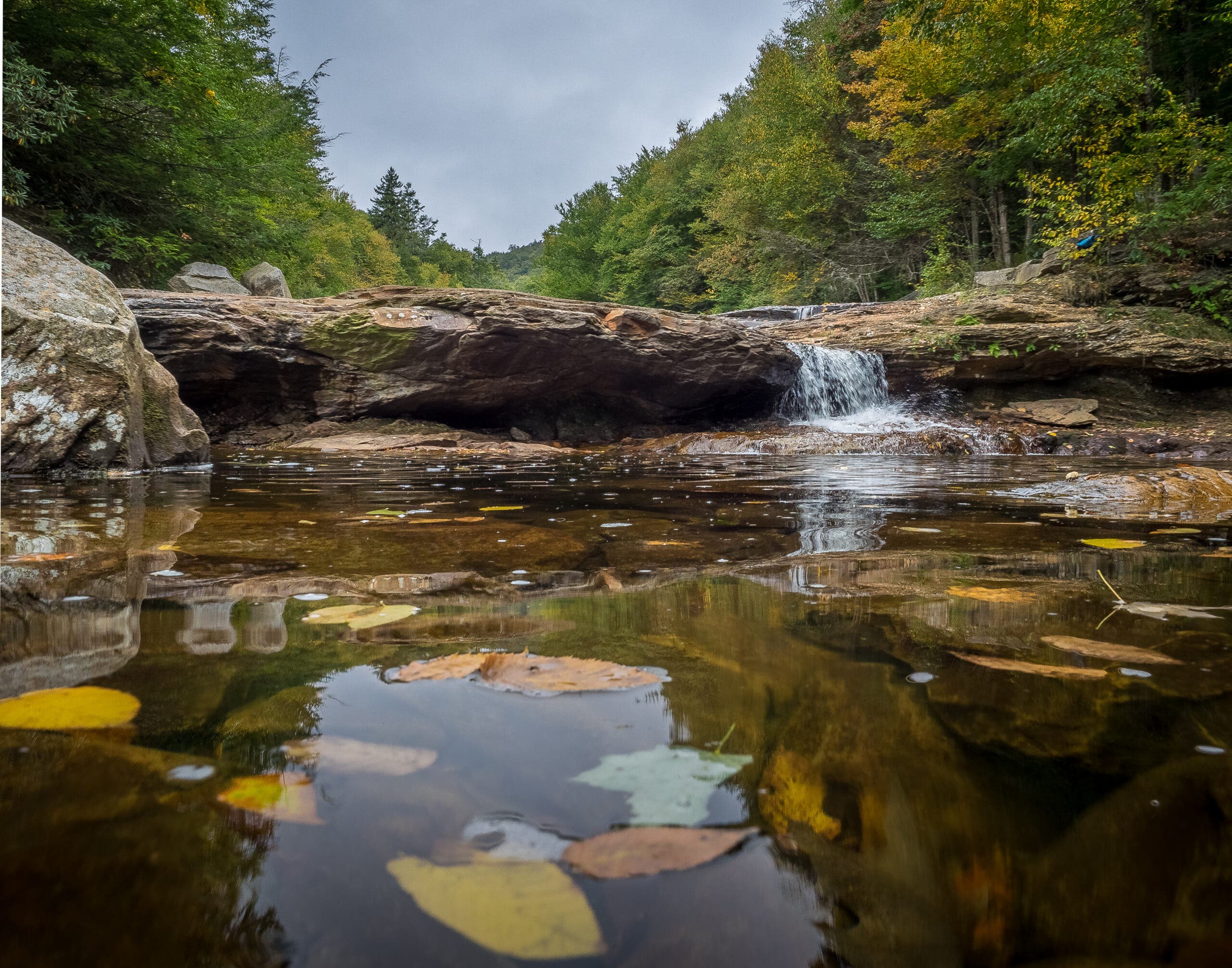Red Creek, Dolly Sods