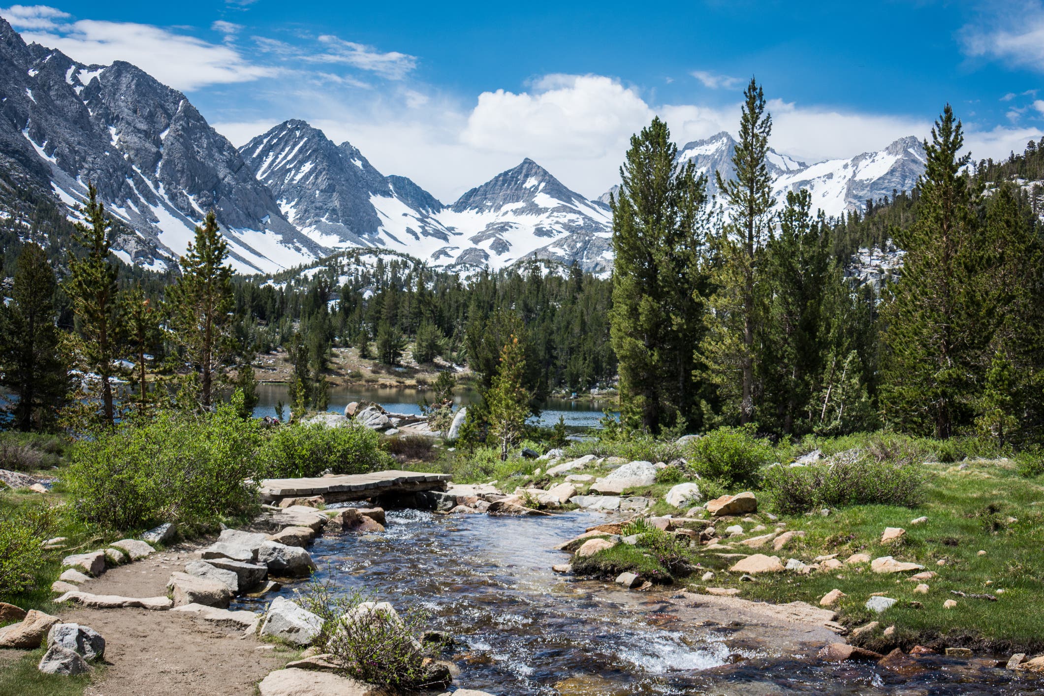 An alpine lake creek surrounded by evergreen trees and snowy mountains.