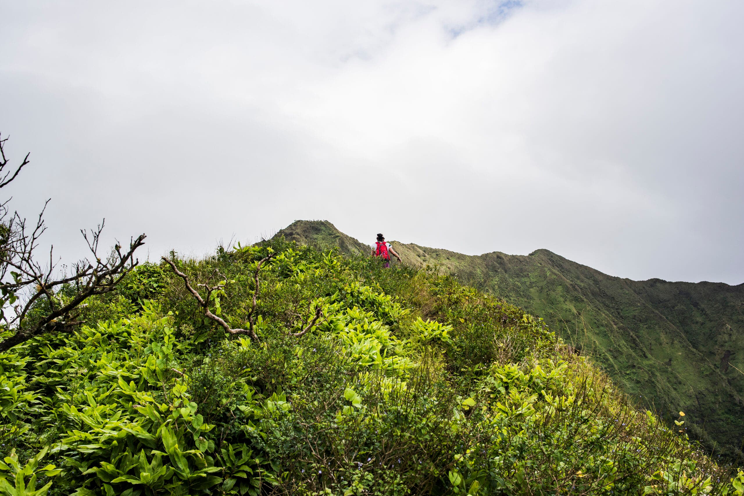 hiker on Moanalua Trail