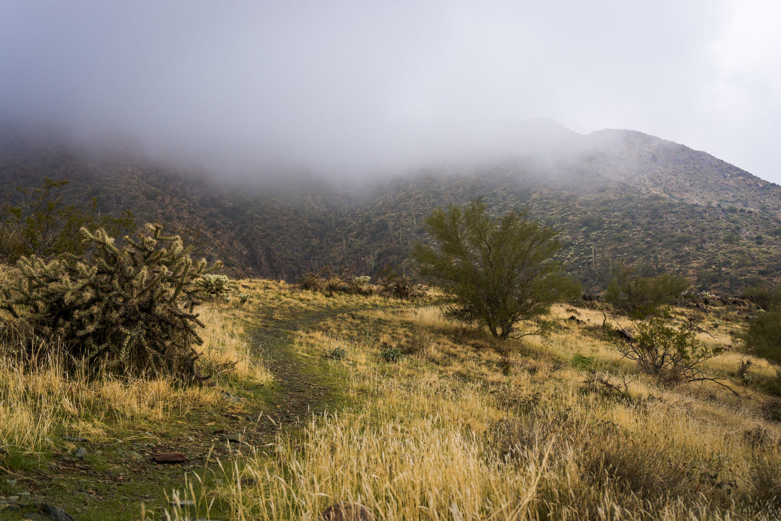 Hiking in the Sonoran Desert