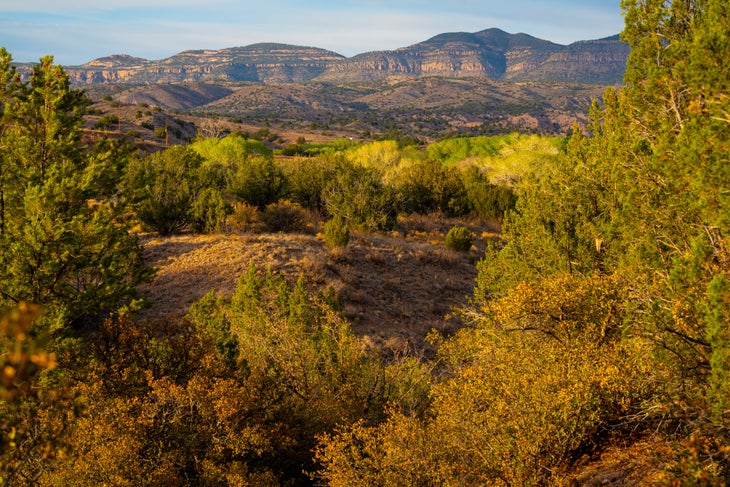 Gila National Forest Landscape