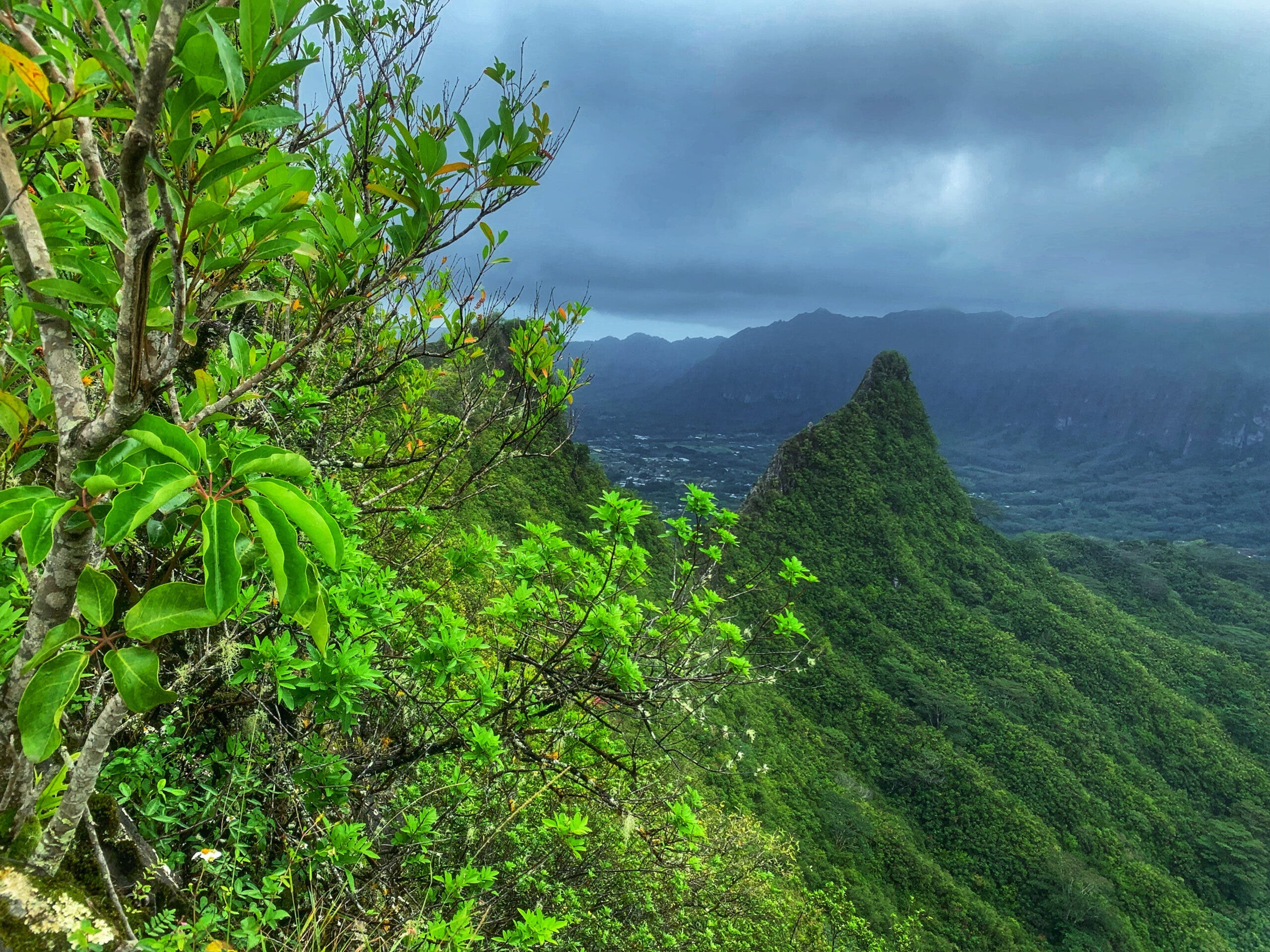 Ridges along the Olomana Trail