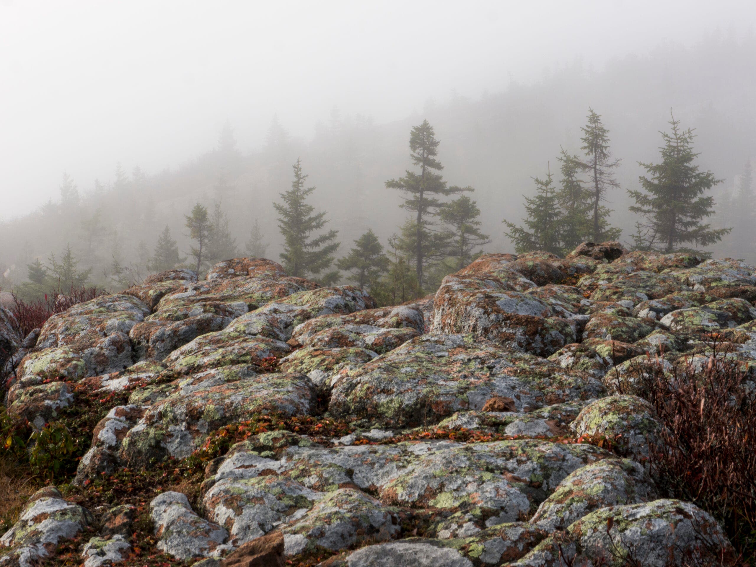Cadillac Mountain in fog