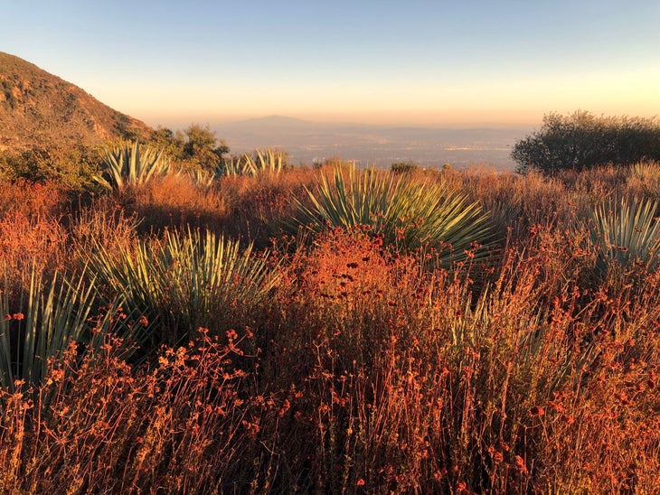 Topanga State Park