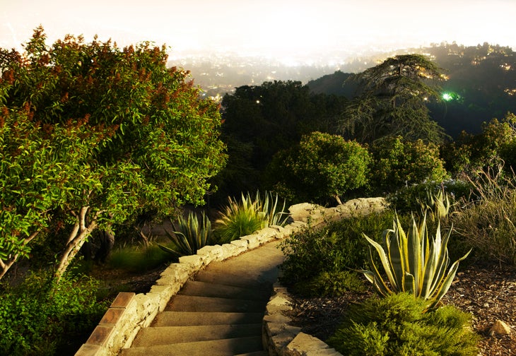 Griffith park