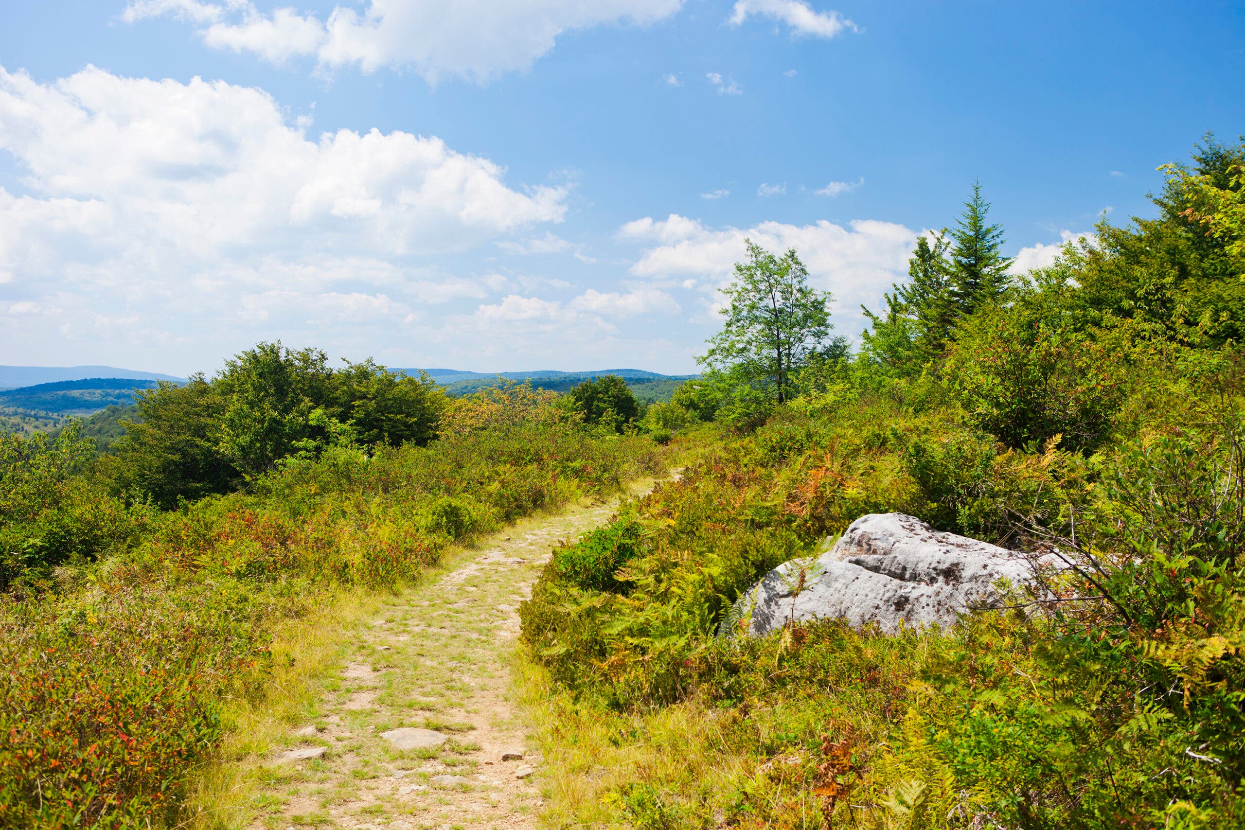 Heading up to the top of the Dolly Sods