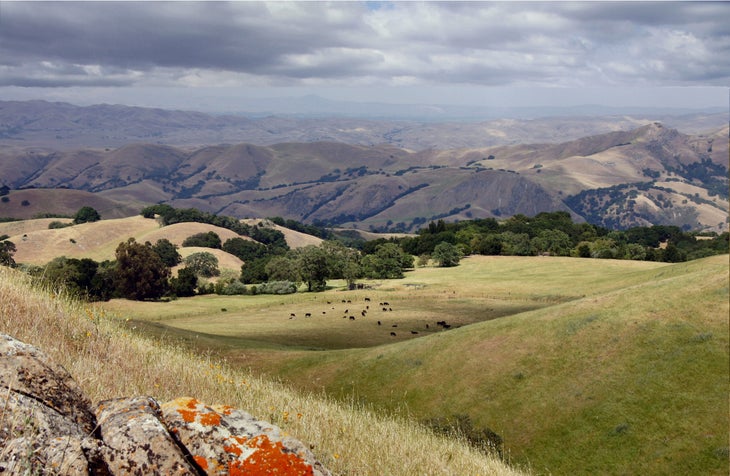 Sunol / Ohlone Regional Wilderness, California