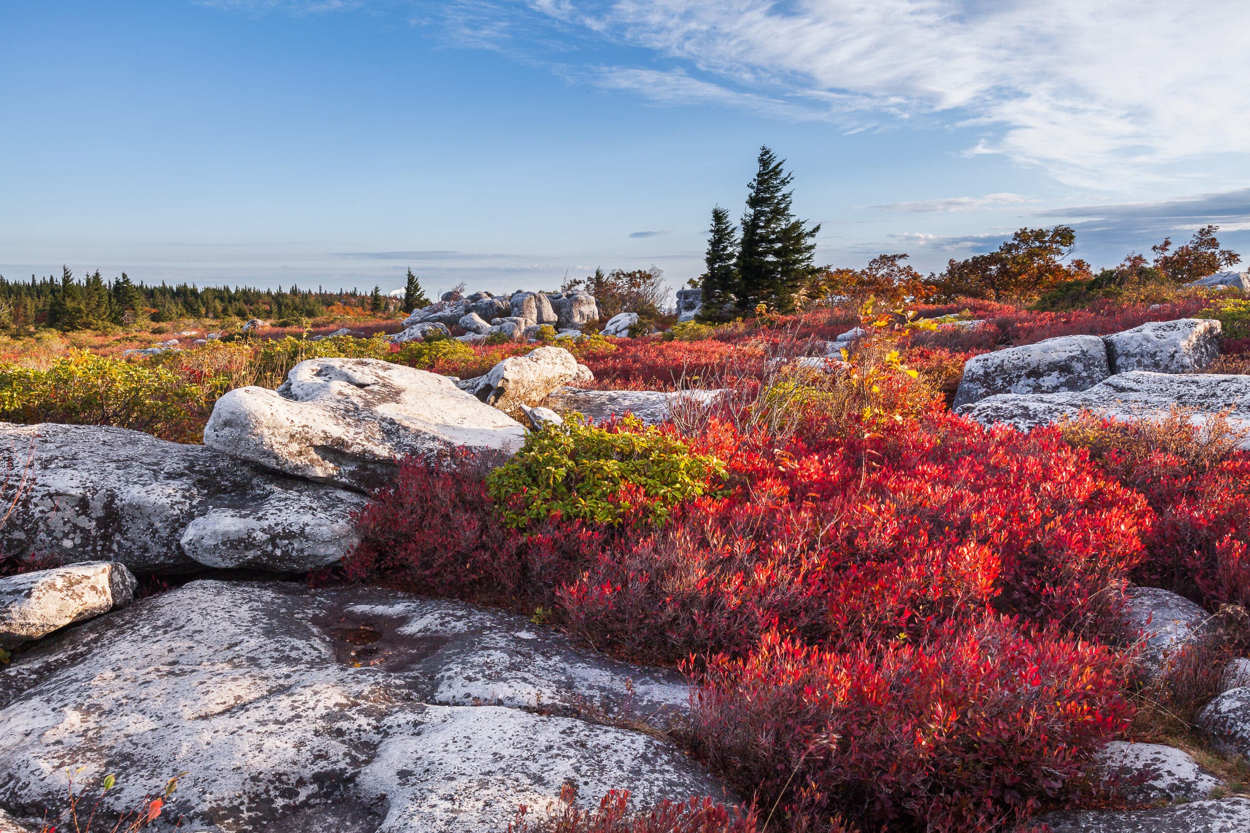 rocky ridge in Dolly Sods Wilderness