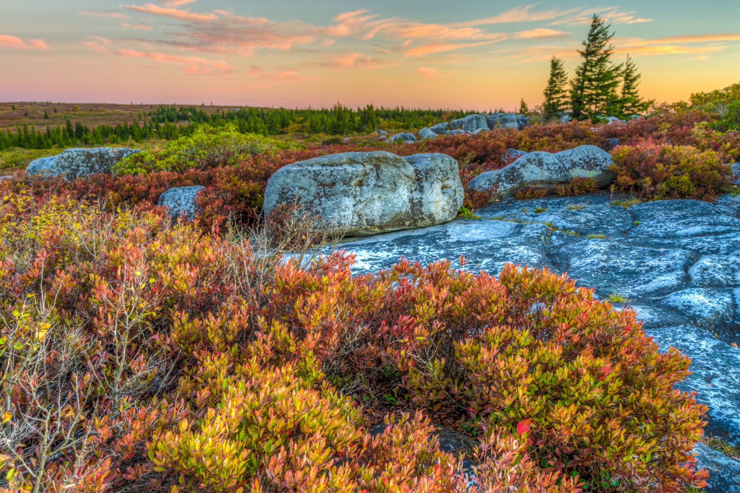 Hiking across the ridges of the Dolly Sods
