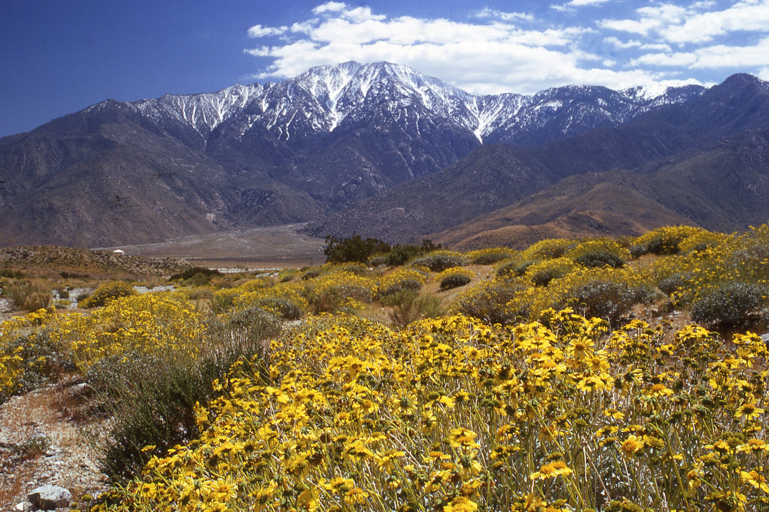 San Gorgonio Pass