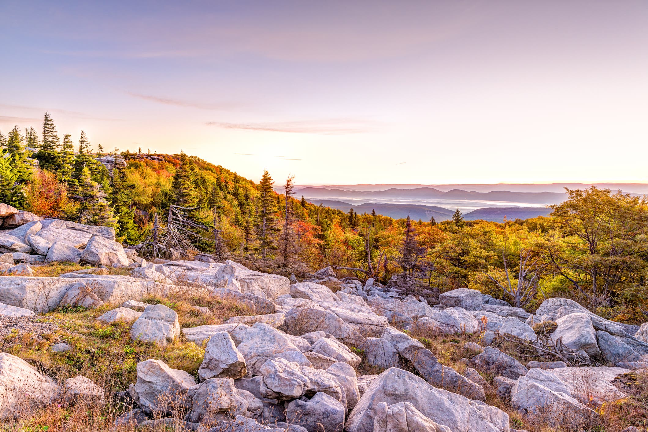 Bear rocks sunrise, Dolly Sods