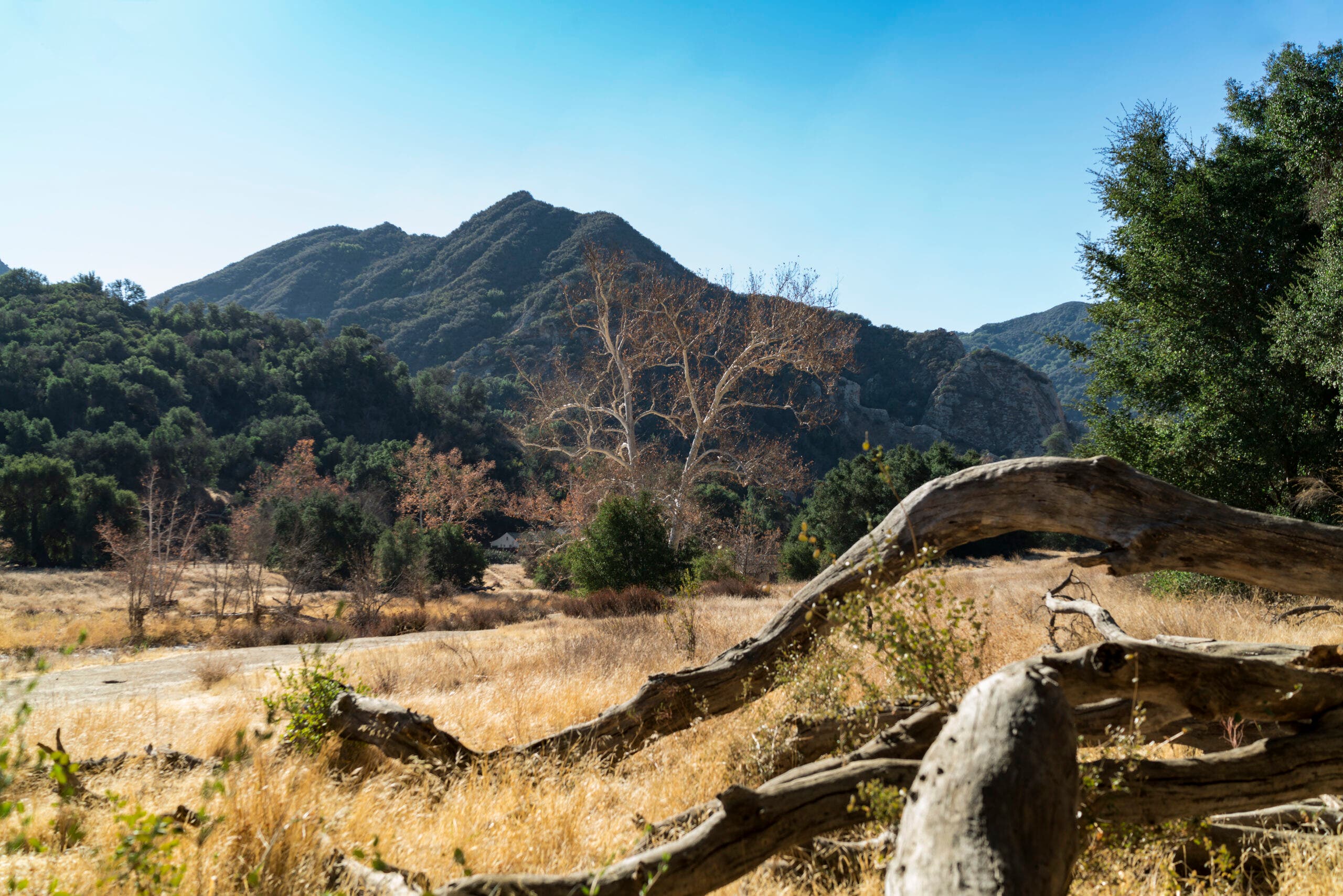 Malibu Creek State Park