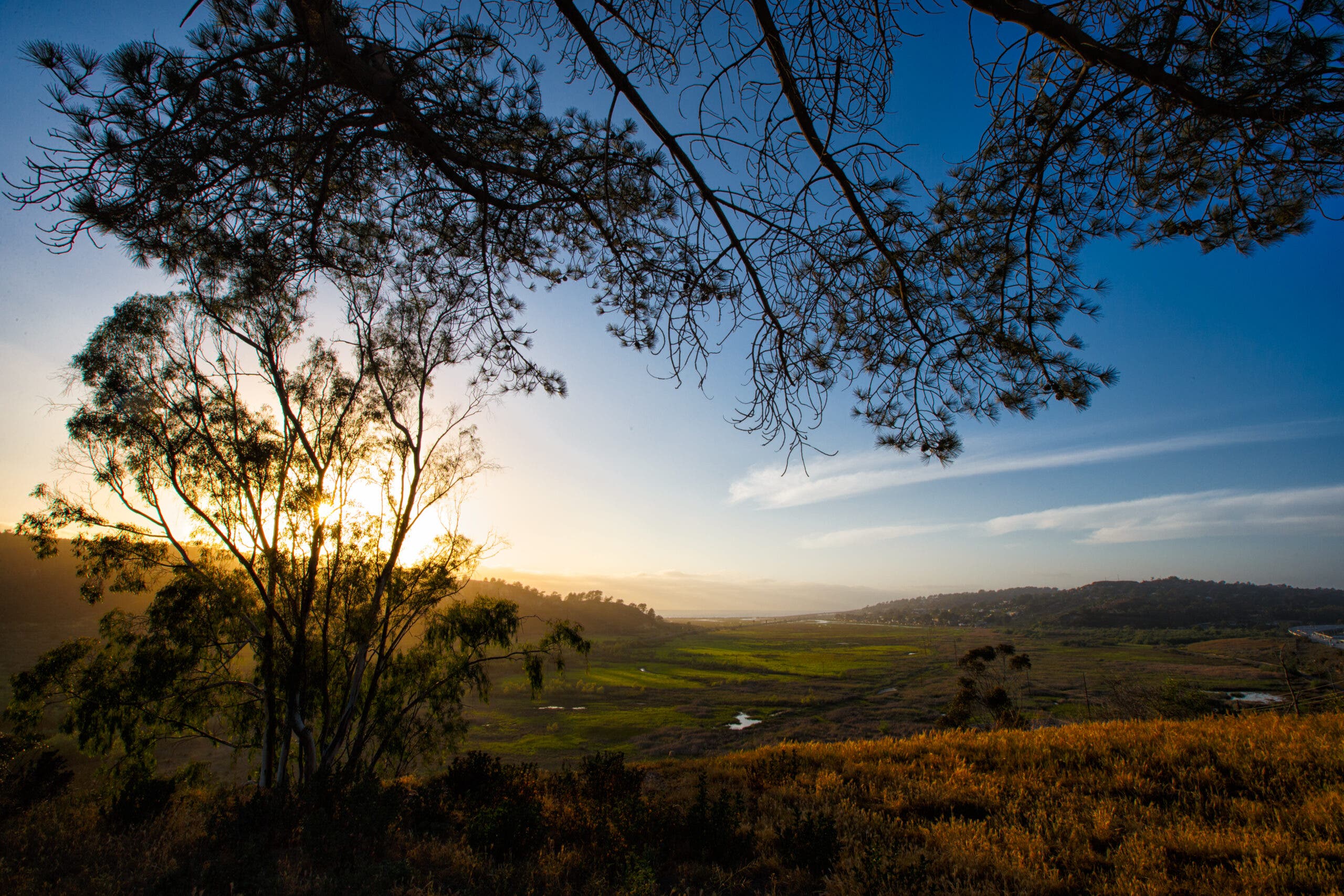 Looking out at Torrey Pines Natural Reserve