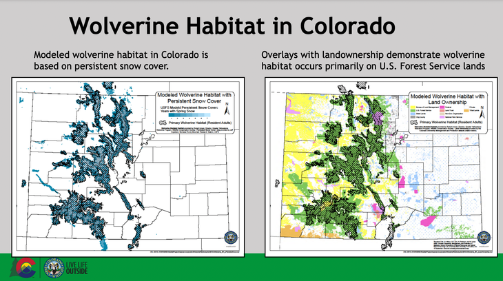 Wolverine Map