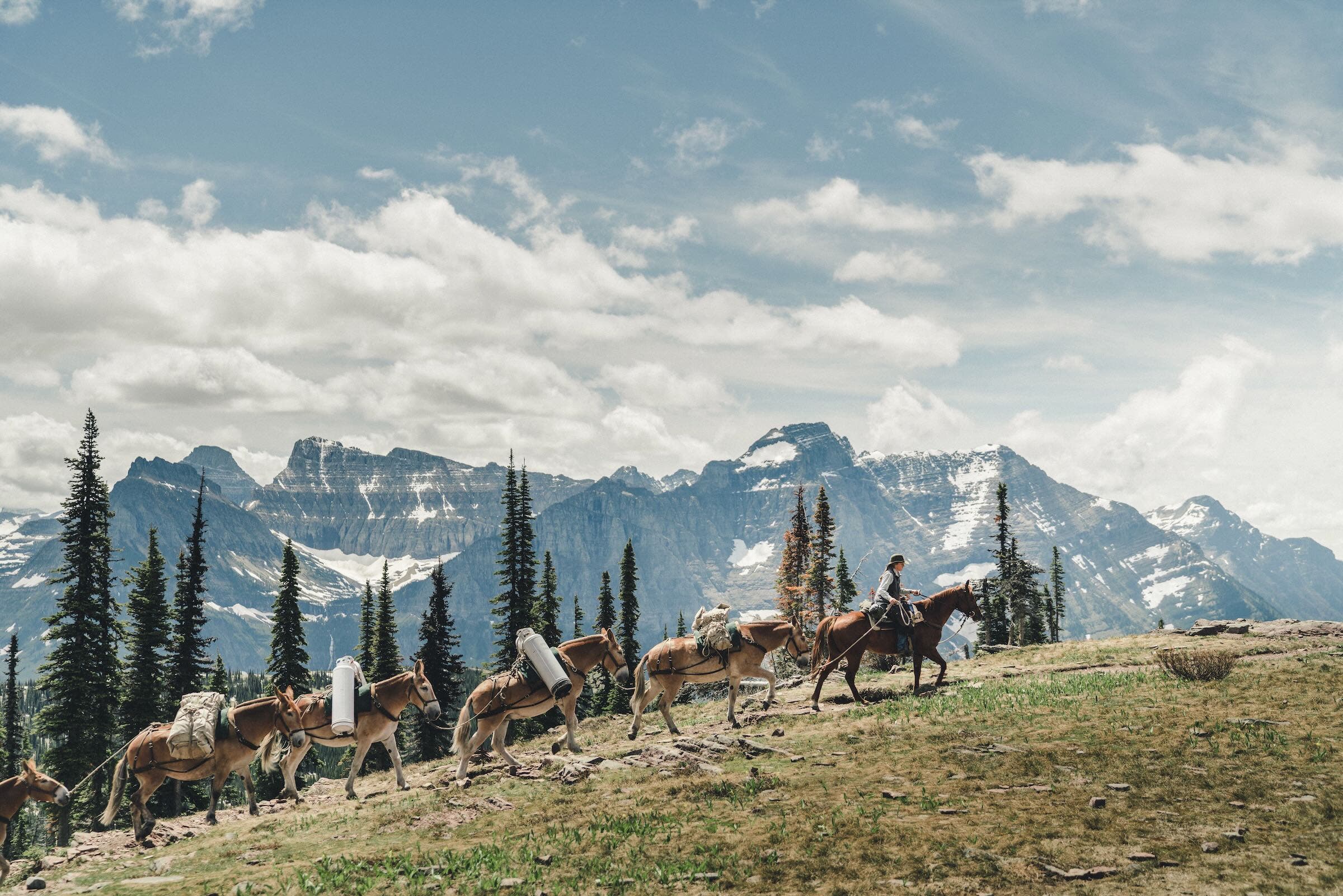Jill Michalak, Glacier National Park’s first female mule packer