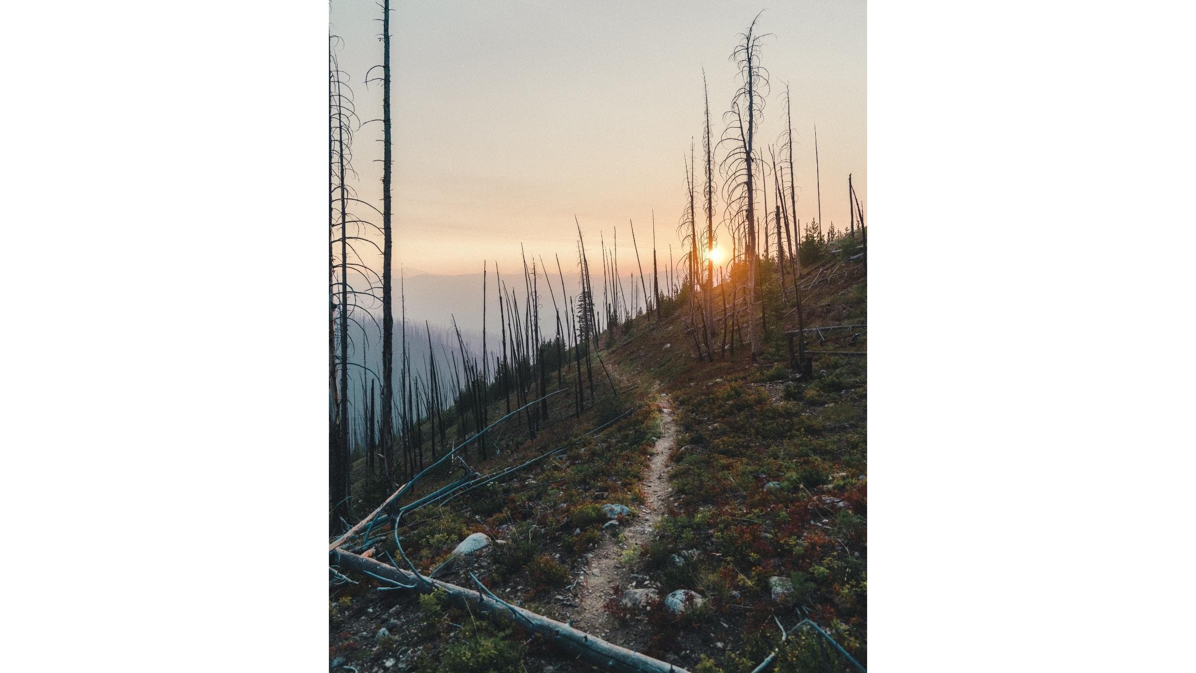 During Peter’s halfway interview, filmed inside the Pasayten Wilderness, AKA the most remote part of Washington.
