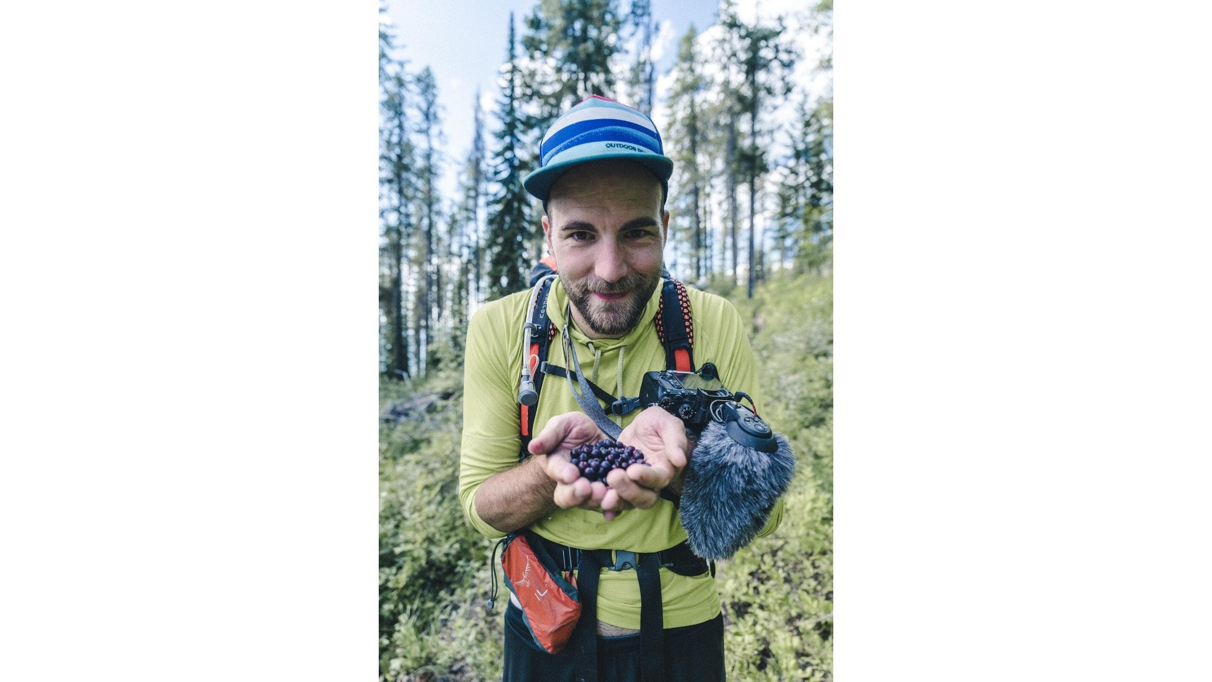 The author holds a handful of huckleberries in the Pacific Northwest.