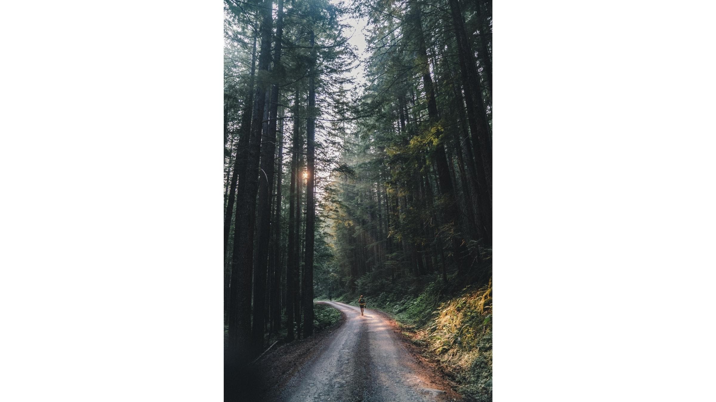 When storms roll in from the Pacific Ocean, the mountains that run north to south form a wall.