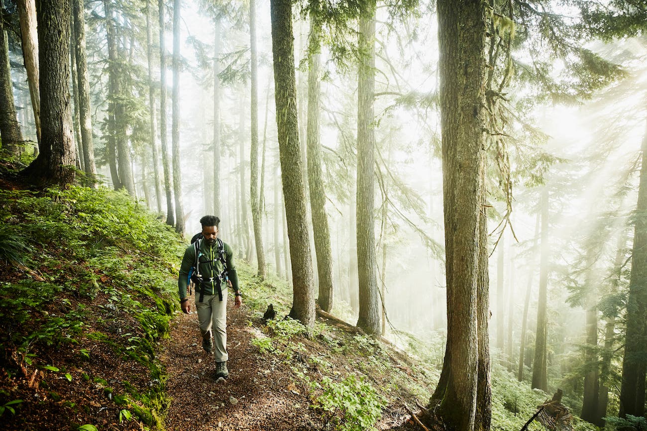 Man hiking along trial in forest on foggy morning