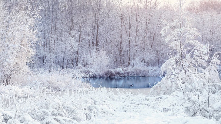winter