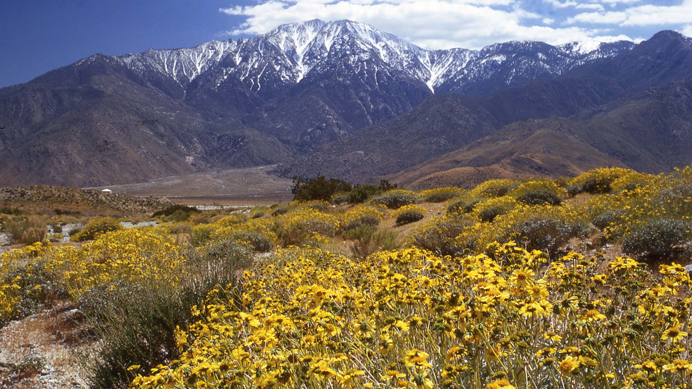 San Gorgonio Pass