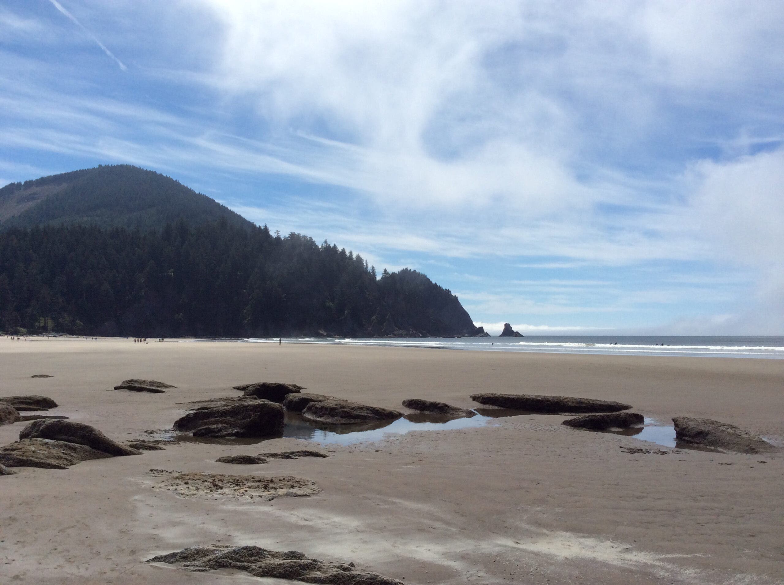 Oswald West State Park