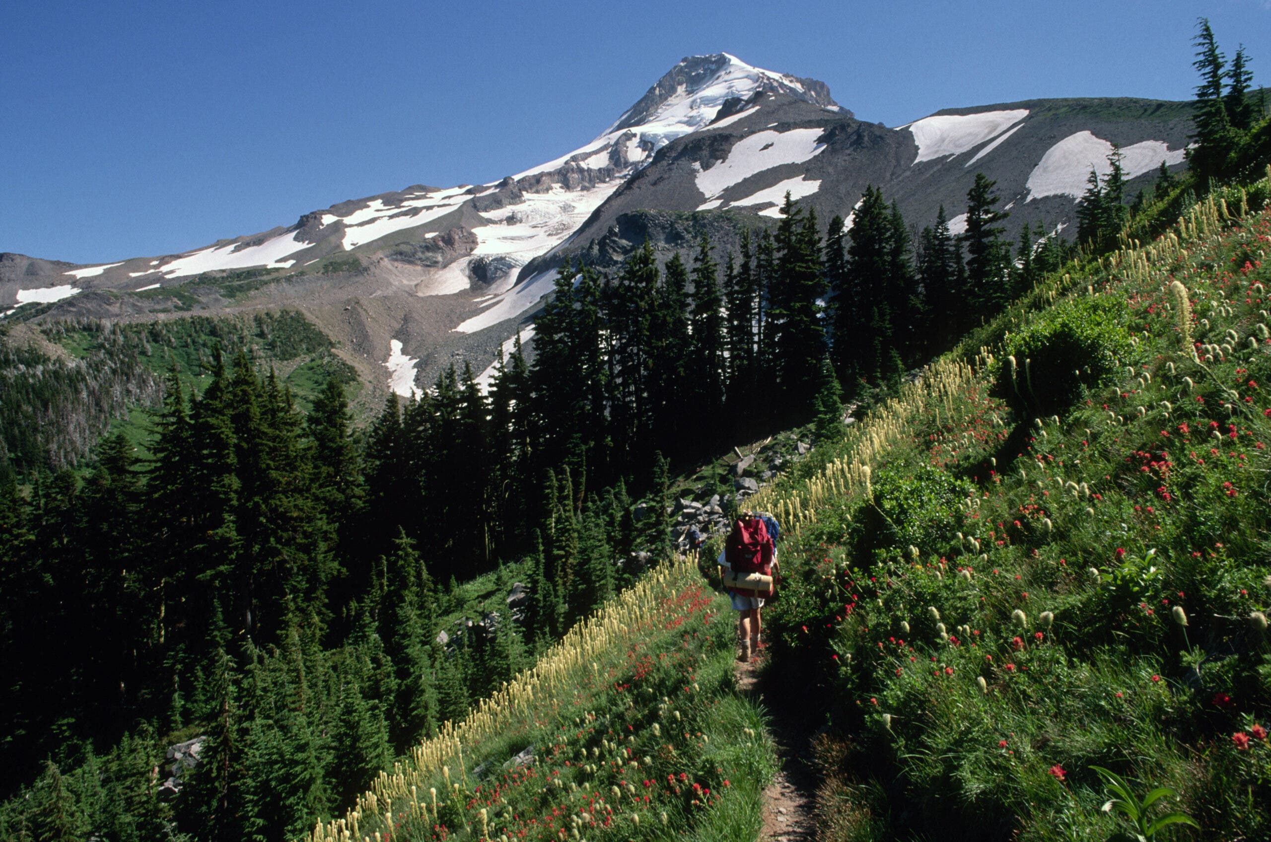 Timberline Trail