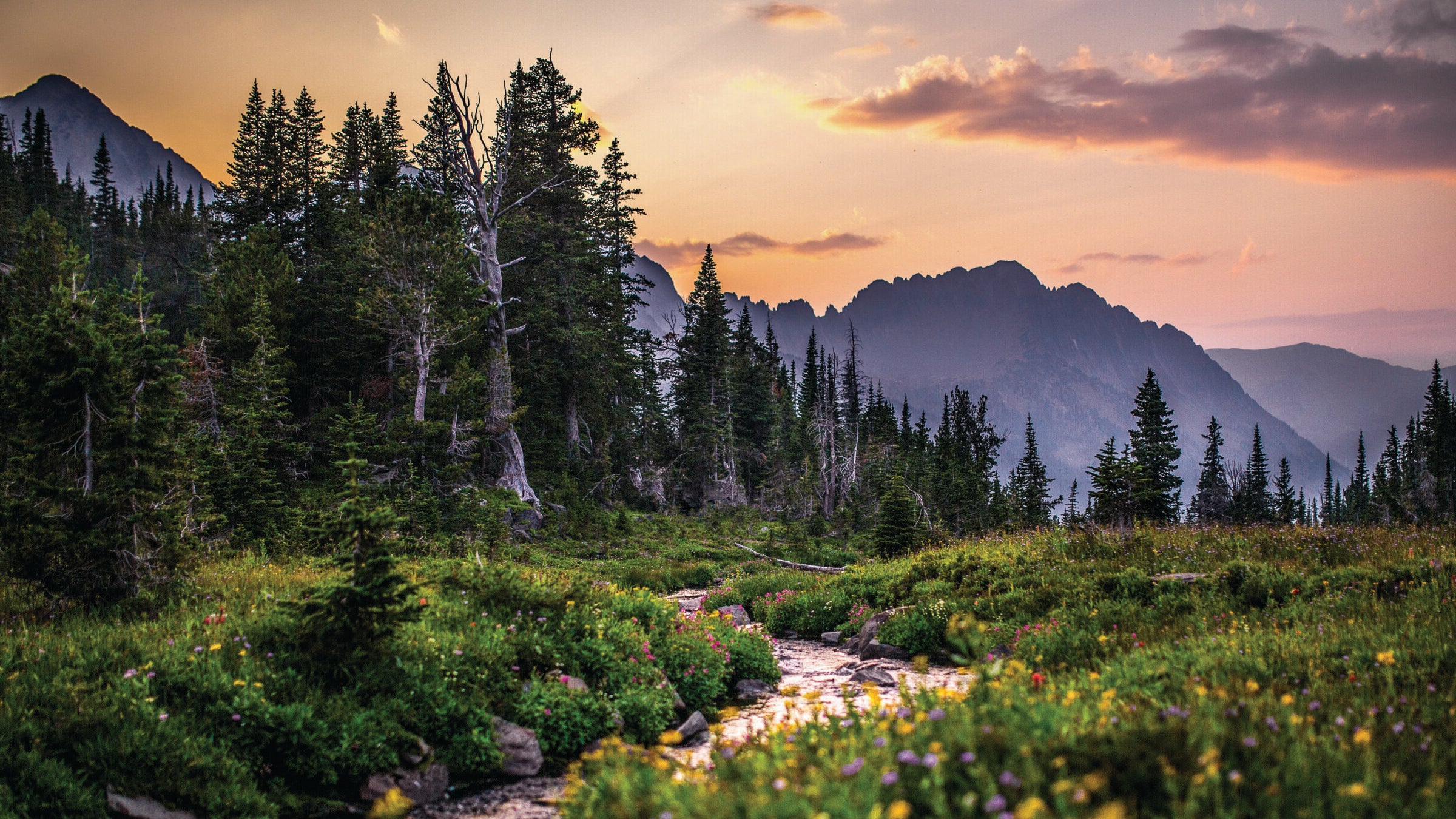 Looking out at the Crazies from South Fork Sweetgrass Creek