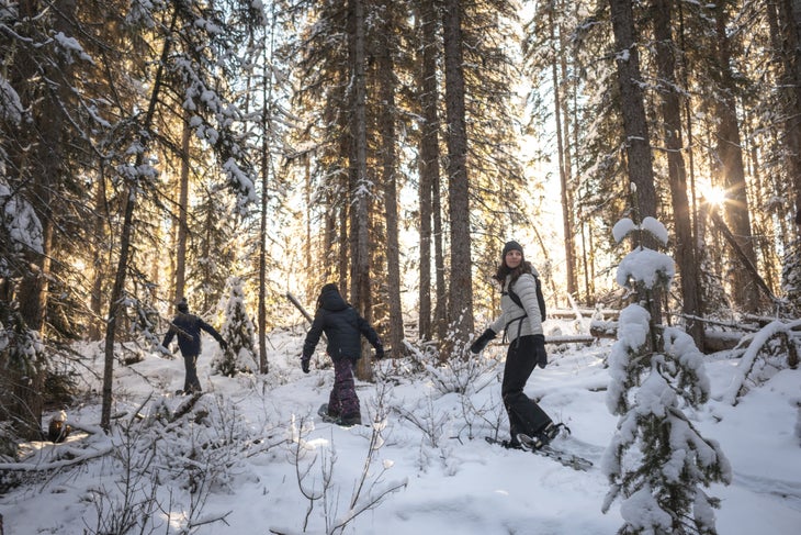 Forest snowshoe