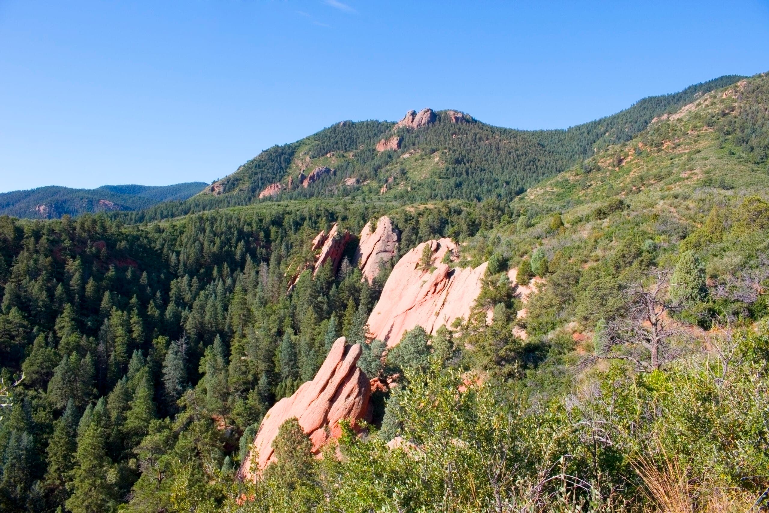 Views from the Intemann Nature Trail