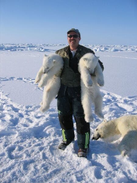 scientist holding bear cubs