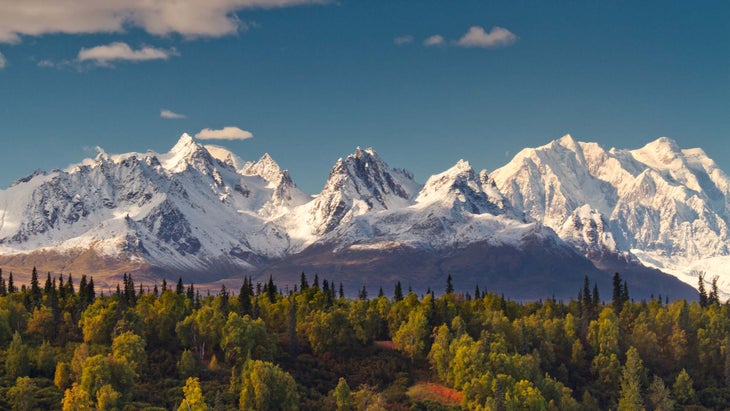 denali in background