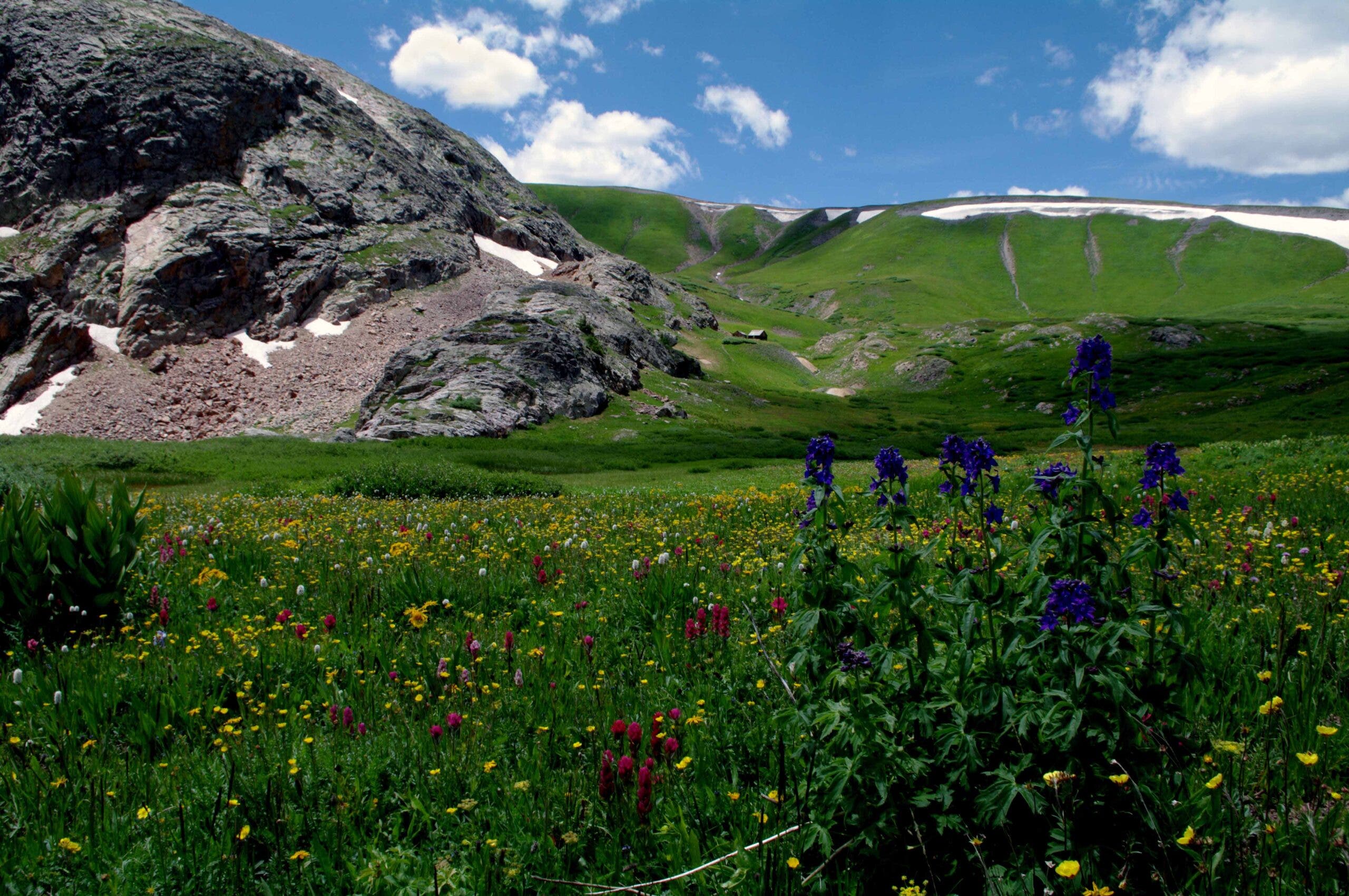 Weminuche Wilderness