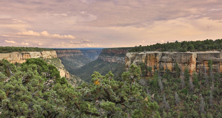 Mesa Verde National Park