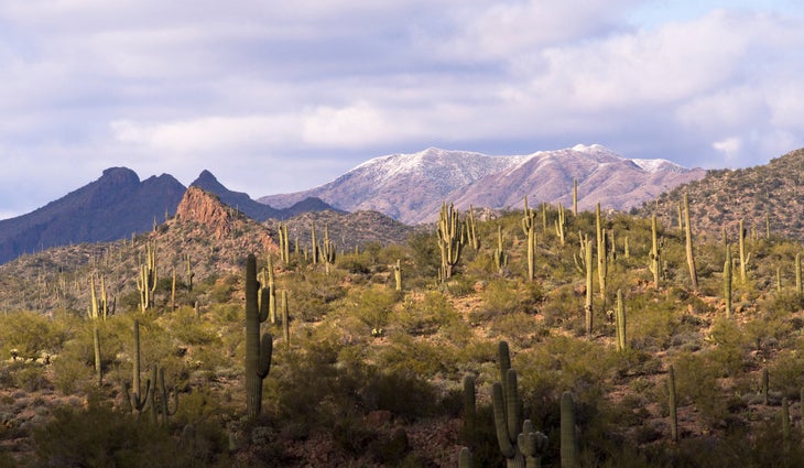 Bradshaw Mountains