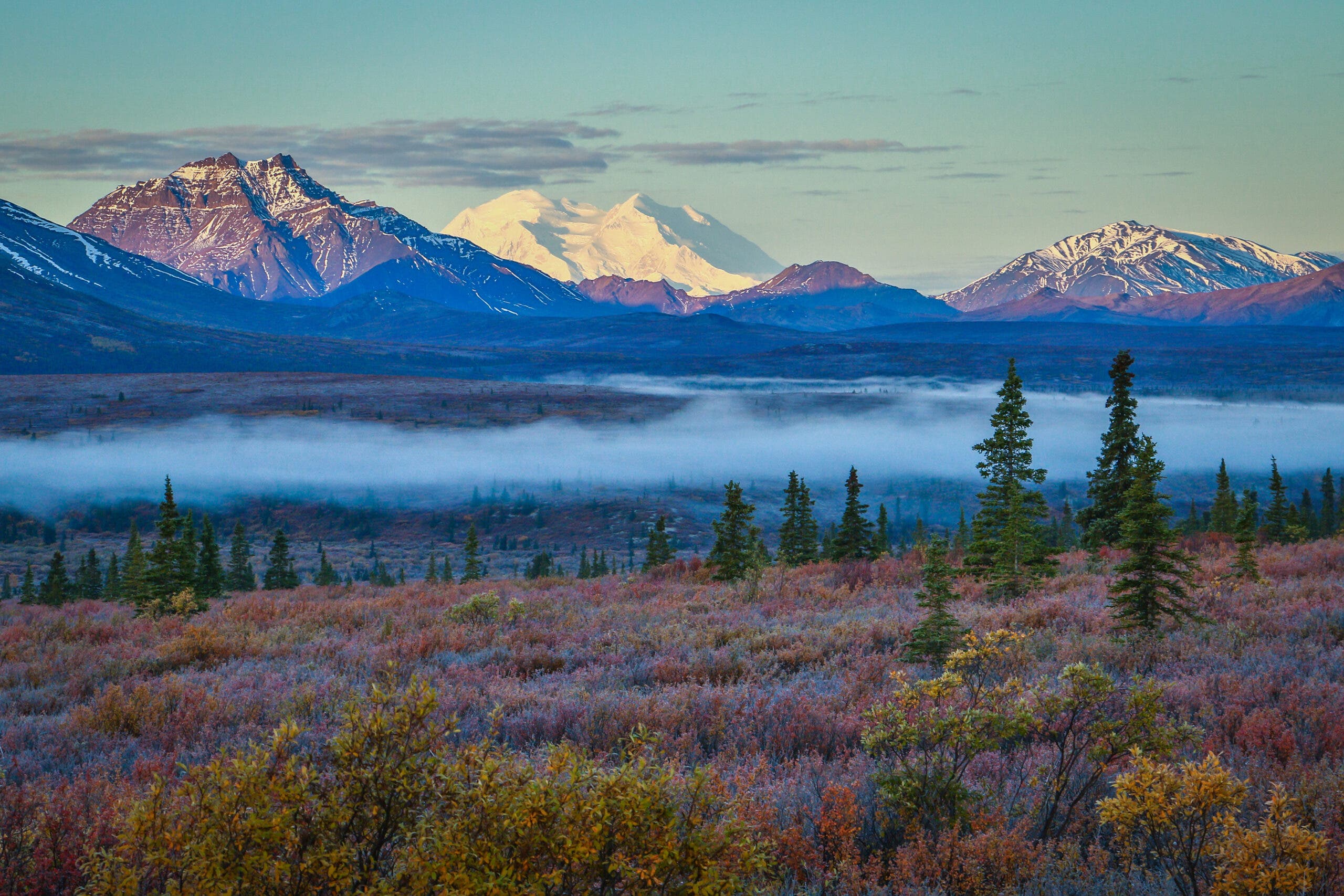 Foggy morning in Denali national park in Alaska