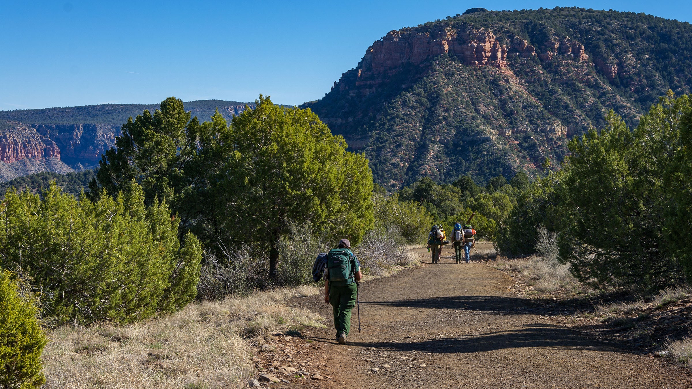 coconino national forest