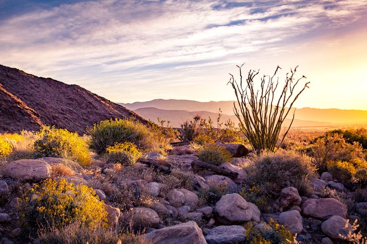 Anza-Borrego