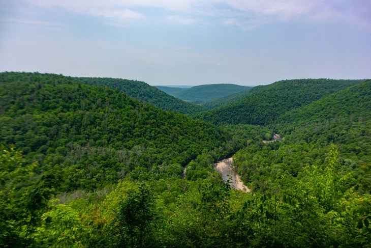 loyalsock