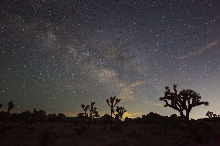 Backpacking Joshua Tree National Park