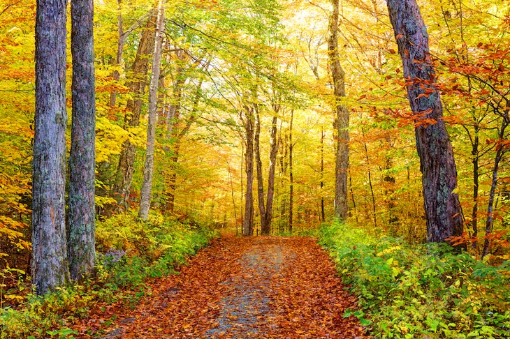 Hiking - Step Into Blacksburg